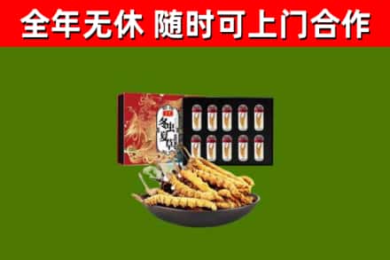 广水市烟酒回收冬虫夏草礼盒.jpg