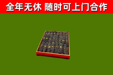 广水市回收海参